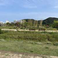 울산 텐트/돗자리 피크닉 🌱 태화강 국가정원