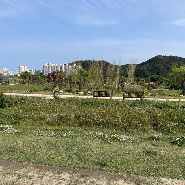 울산 텐트/돗자리 피크닉 🌱 태화강 국가정원 울산 텐트/돗자리 피크닉 🌱 태화강 국가정원