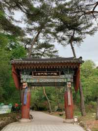 용문사 🌲 은행나무가 유명한 곳