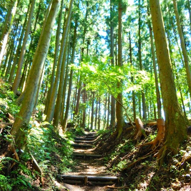 富士山を見ながら山登り！