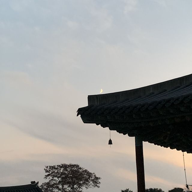 서울 근교에서 가을을 즐길 수 있는 곳 화성 용주사 