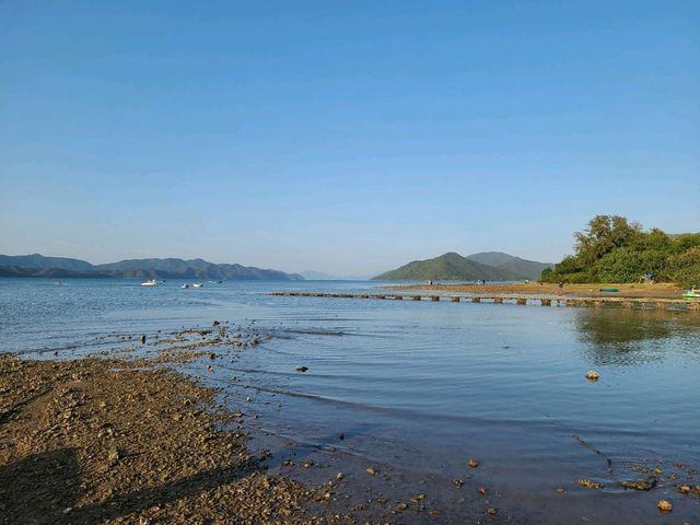 【CP值最高的紅樹林~泥涌🌴】