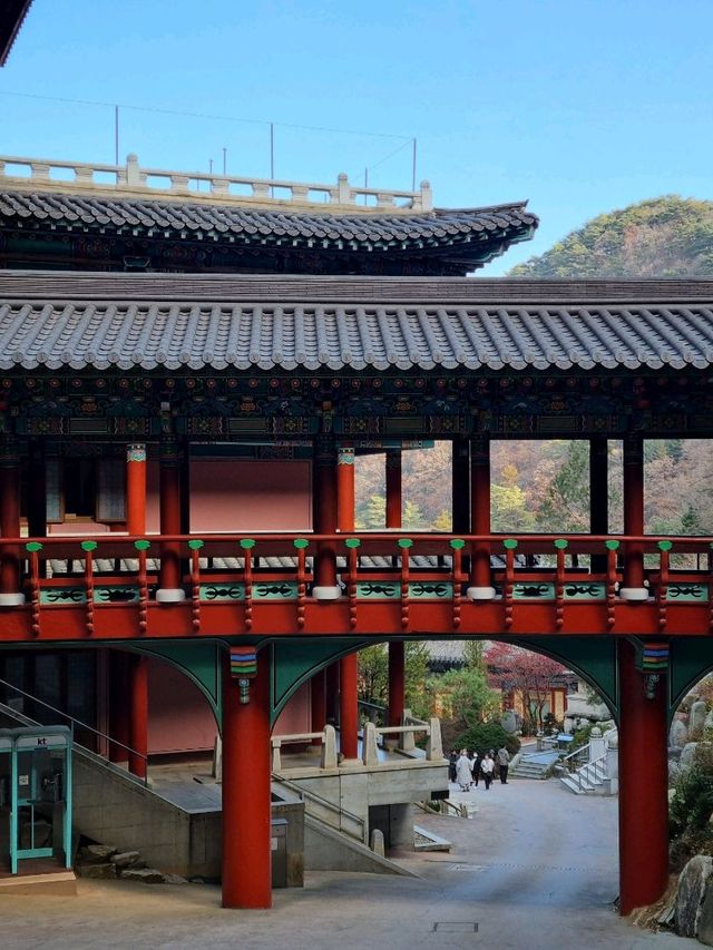 일본에 온 거 같은 단양 구인사