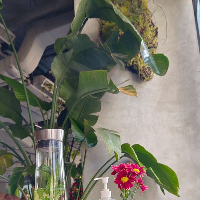 將軍澳南,逛新商場,新餐廳!很有聖誕氣氛! 將軍澳南,逛新商場,新餐廳!很有聖誕氣氛!