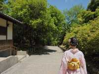 【美如畫的地方🖼️和服打卡必去👘嵐山⛰️】