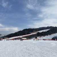 강원도 홍천 스키장🏂비발디파크 스키장