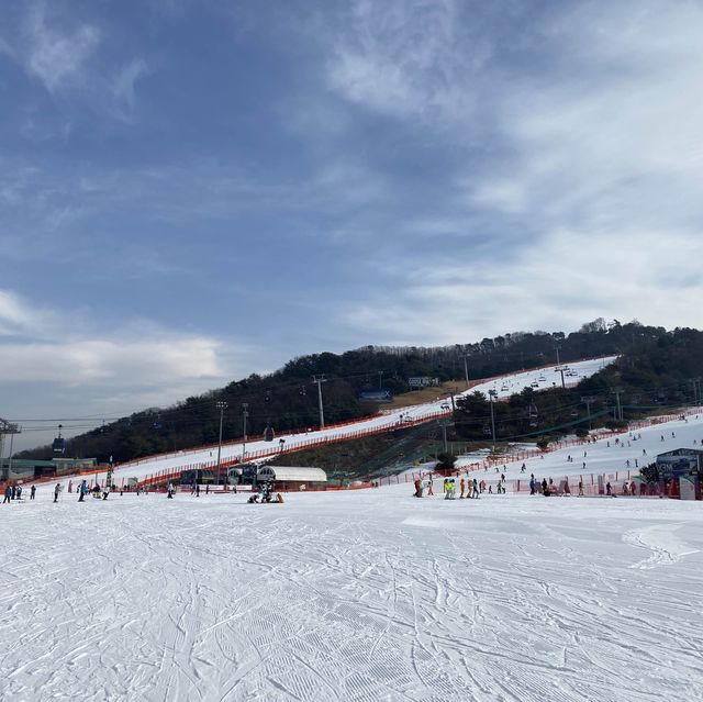 강원도 홍천 스키장🏂비발디파크 스키장