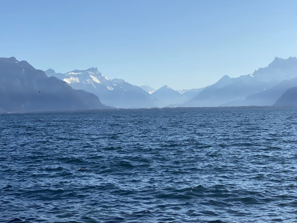 스위스 브베에서 절경을 보며 피크닉을 즐기세요🇨🇭💙