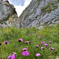 Horoabei Canyon