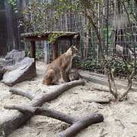 Best Zoo in Shanghai