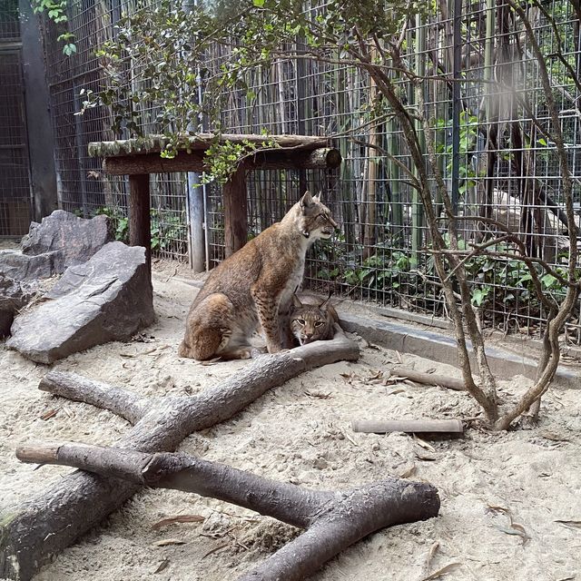 Best Zoo in Shanghai