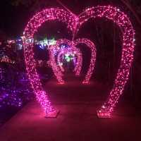 Night view at the Anhui Lu’an Ecological park