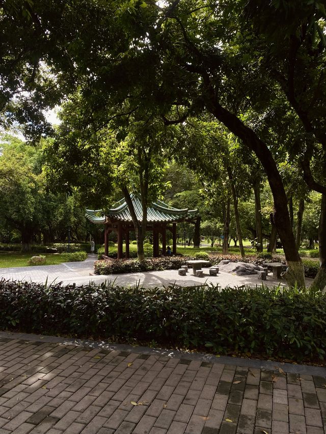 Dongguan- Qifeng Park