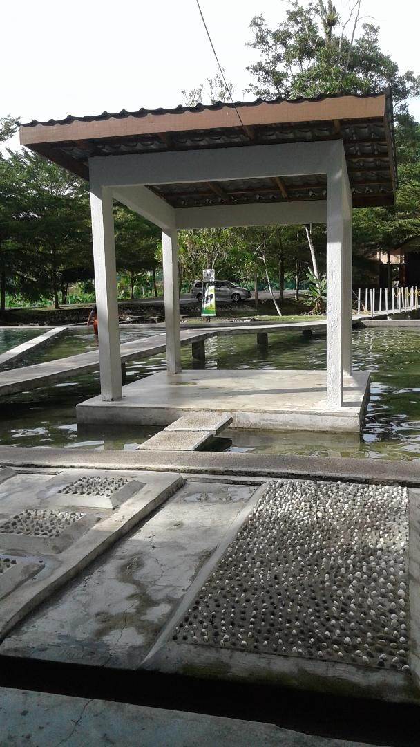 HOT SPRINGS & NASI LEMAK IN BATANG KALI!