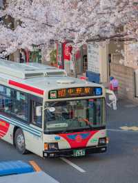 Nakano Ward, Arakawa Yakushi