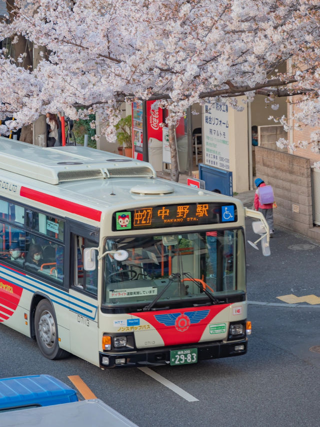 Nakano Ward, Arakawa Yakushi