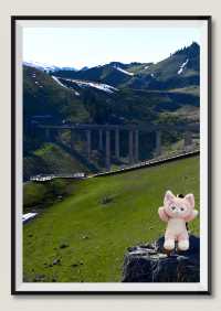 Xinjiang Guozigou Bridge | The Bridge of Life on the Tianqian Plateau and Guozigou Waterfall