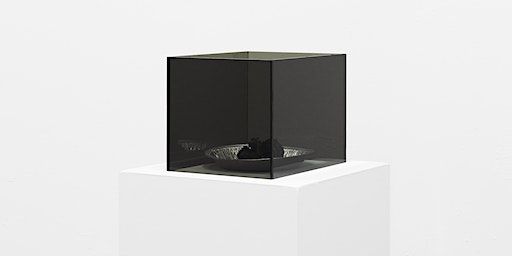 Curator Tour: List Projects 27 fields harrington and Nancy Valladares | MIT List Visual Arts Center