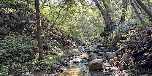 Mindful Hike with Breathwork | Calabasas Peak Trailhead