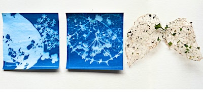 School Holiday Workshop | Cyanotypes & Monoprints | Ngununggula, Southern Highlands Regional Gallery