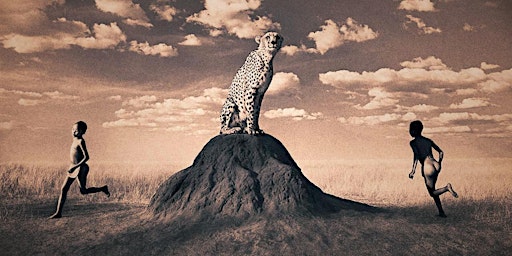 Byron Bay Lychee Farm Presents Ashes and Snow a film by Gregory Colbert | Newrybar