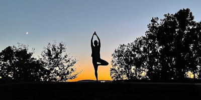 Sunset Yoga at Rockwood | Rockwood Hall