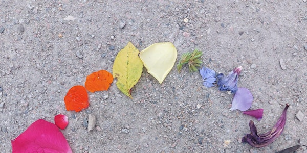 Abberton Colours of the Wild | Abberton Reservoir Nature Discovery Park