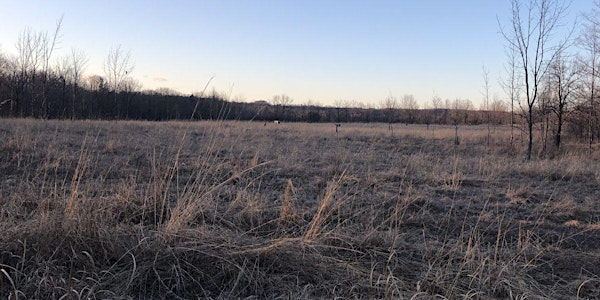 Seed Collection Event | McMaster Forest