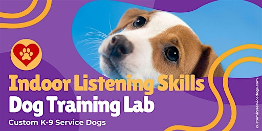 Indoor Listening Skills Lab: Teach Your Dog to Focus & Come When Called | Lowe's Home Improvement