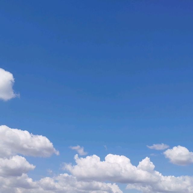 メコン川の眺め