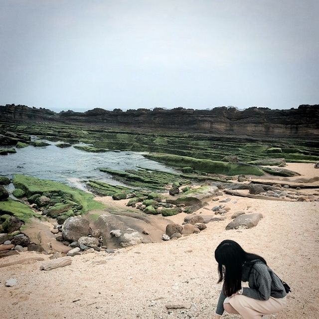 奇岩美石探索之遊記載🪨野柳地質公園