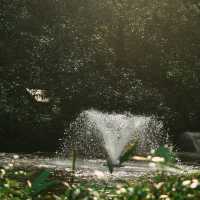 Meet with the birds at Jurong Bird Park