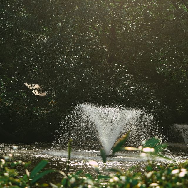 Meet with the birds at Jurong Bird Park