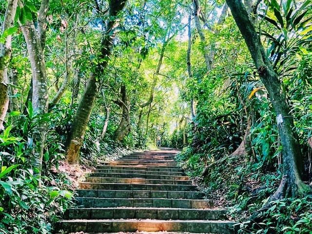 老地方觀景台