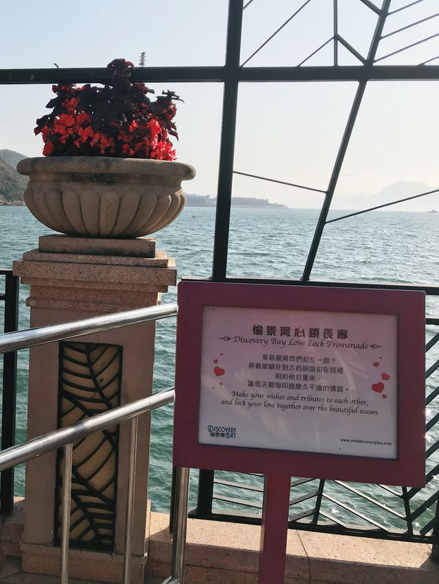 🎈愉景灣慢活一日遊🥰