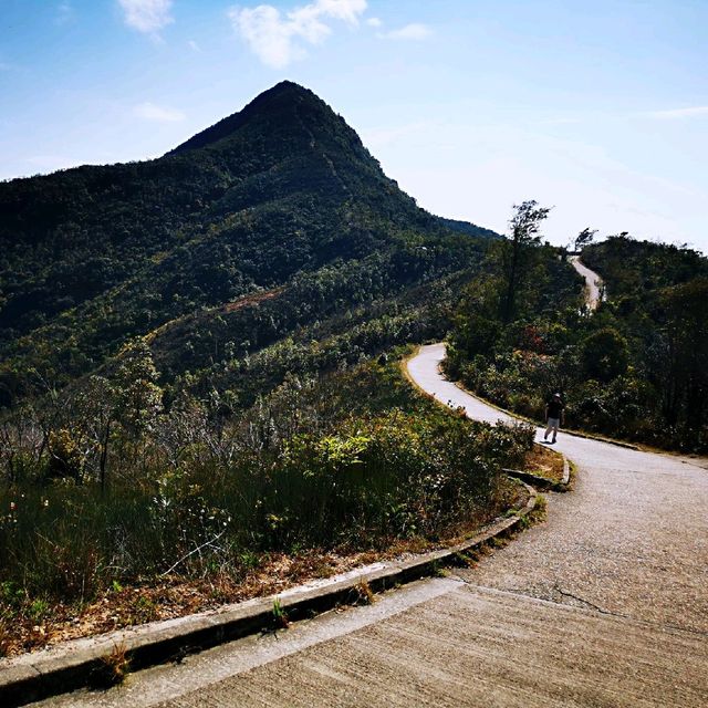 針山