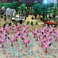 市區 動物園