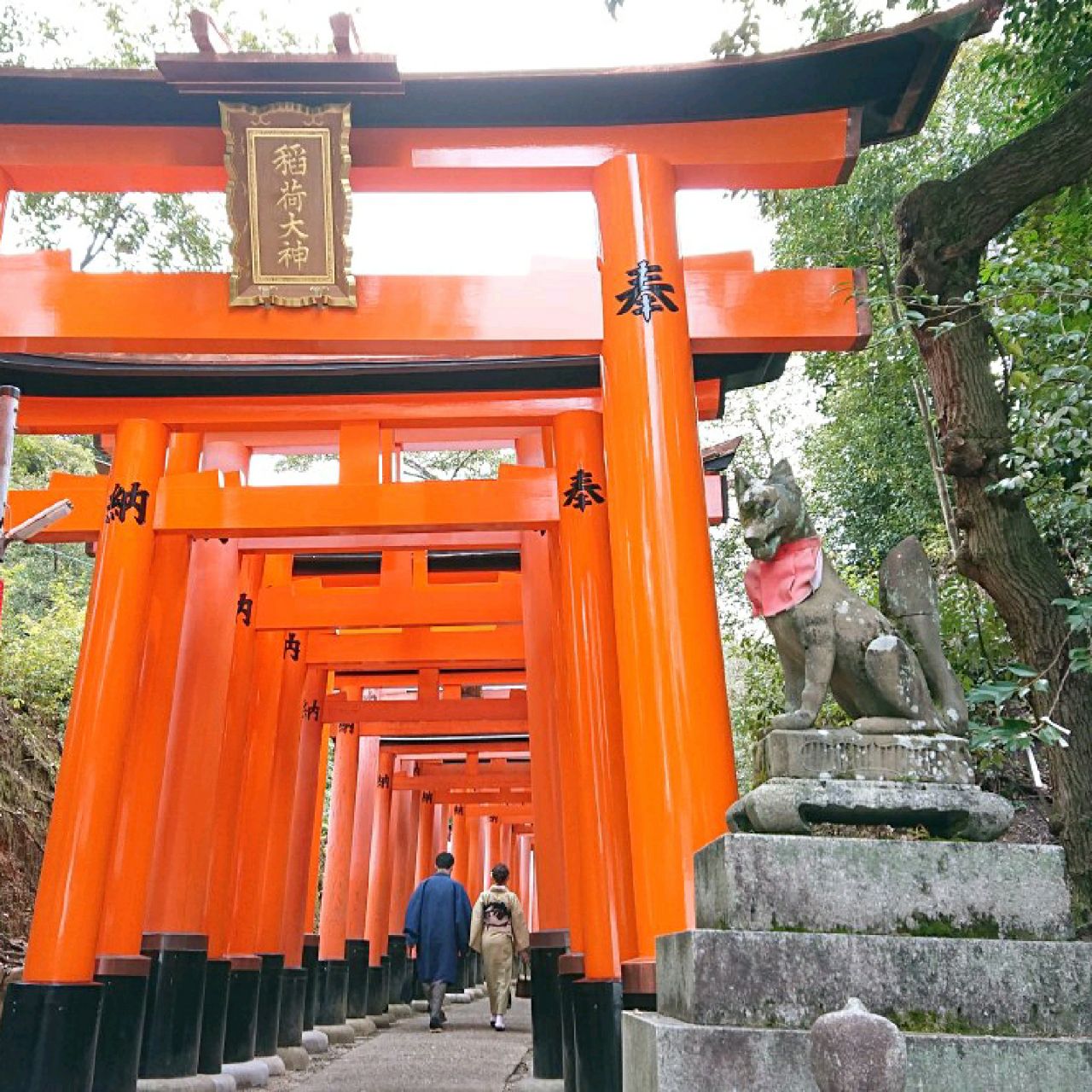美のパワースポット | Trip.com 京都
