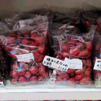 小分けハーブ・スパイス・薬膳調味料　林商店　神戸