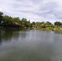 綠悠悠的公園🌳🌳🌳