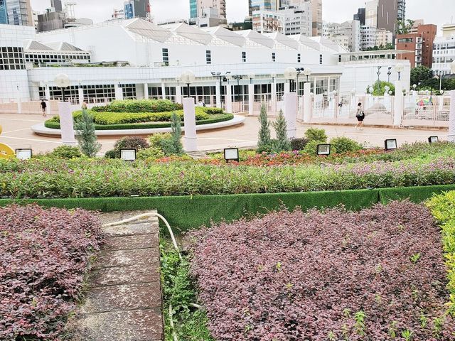 花悅滿城花卉展覽