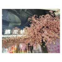 遇．花．緣。櫻花祭。北角匯 