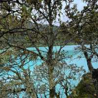 Luscious Turquoise Lake in Lijiang 