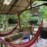 คาเฟ่ธรรมชาติ “ที่นี่บางเบาะ ป่าตอง”