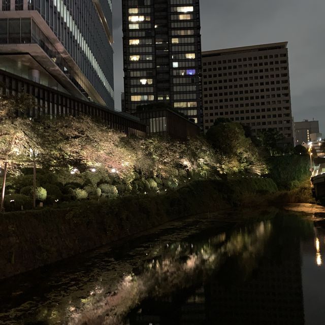 弁慶堀と東京ガーデンテラスのライトアップ🌃