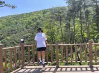 [경남/산청]산청 자연속에서 걷는 출렁다리 무릉교❣️