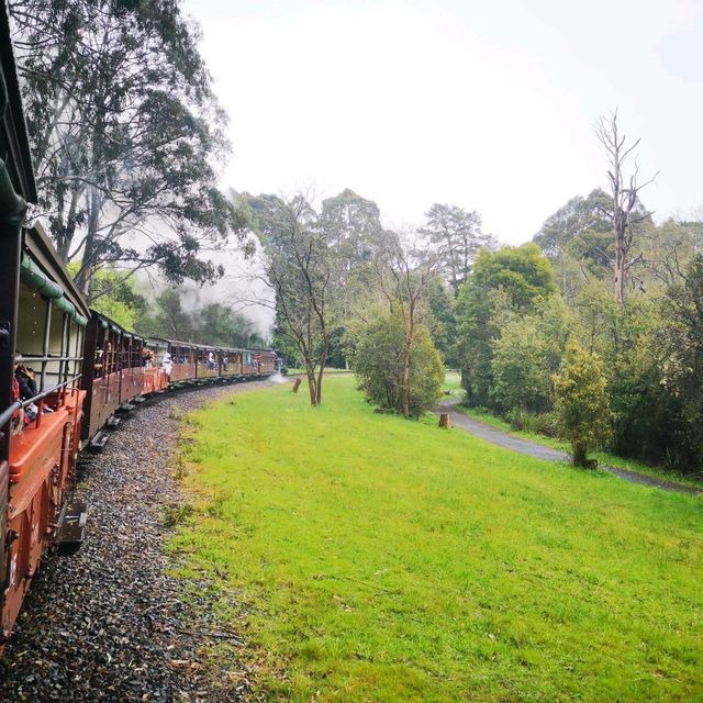 Puffing Billy Railway 親子遊