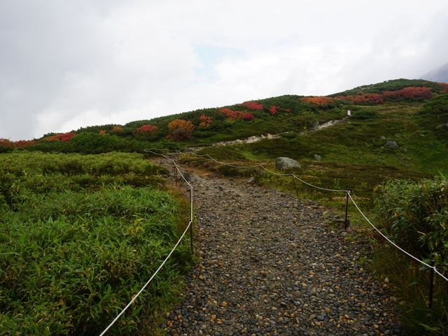 全日本最早的賞楓景點｜大雪山旭岳