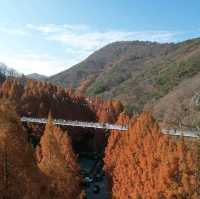 Hanging Bridge 