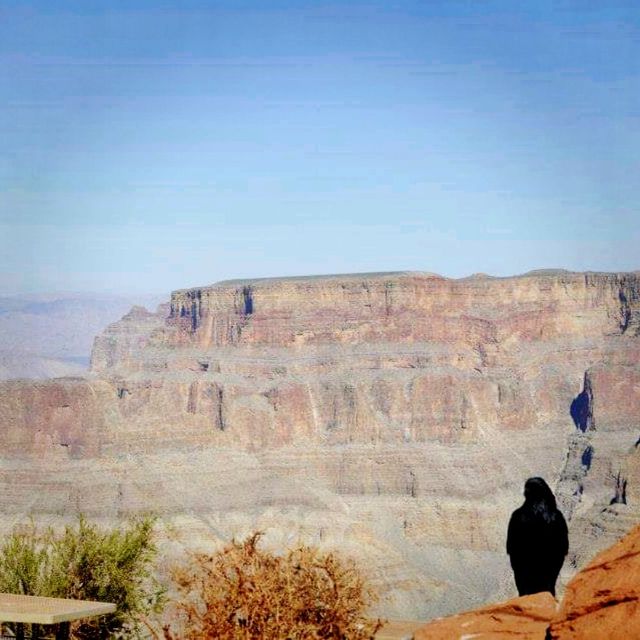 Eagle Point At Grand Canyon Skywalk